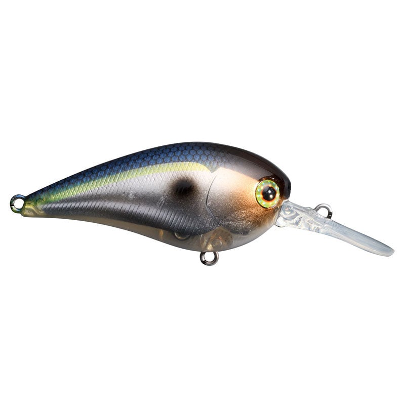 Rapala DT6 Crankbait